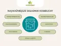 Kombucha: Ile może stać? Przechowywanie, trwałość i bezpieczeństwo