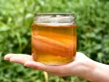 Słoik z płynem i grubym, pomarańczowym SCOBY. Wygląda na to, że ta kombucha jest zepsuta, bo zamiast orzeźwiającego napoju, mamy niepokojący widok.