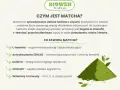 Matcha: energia, zdrowie i koncentracja bez kawy. Poznaj jej moc!