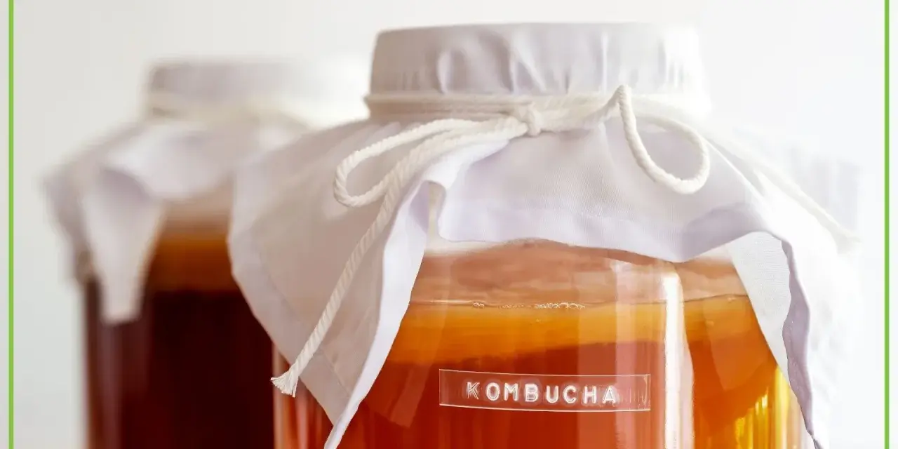 Dwa słoje z kombuchą, jedna z etykietą. Czy kombucha ma alkohol? To zależy od procesu fermentacji.