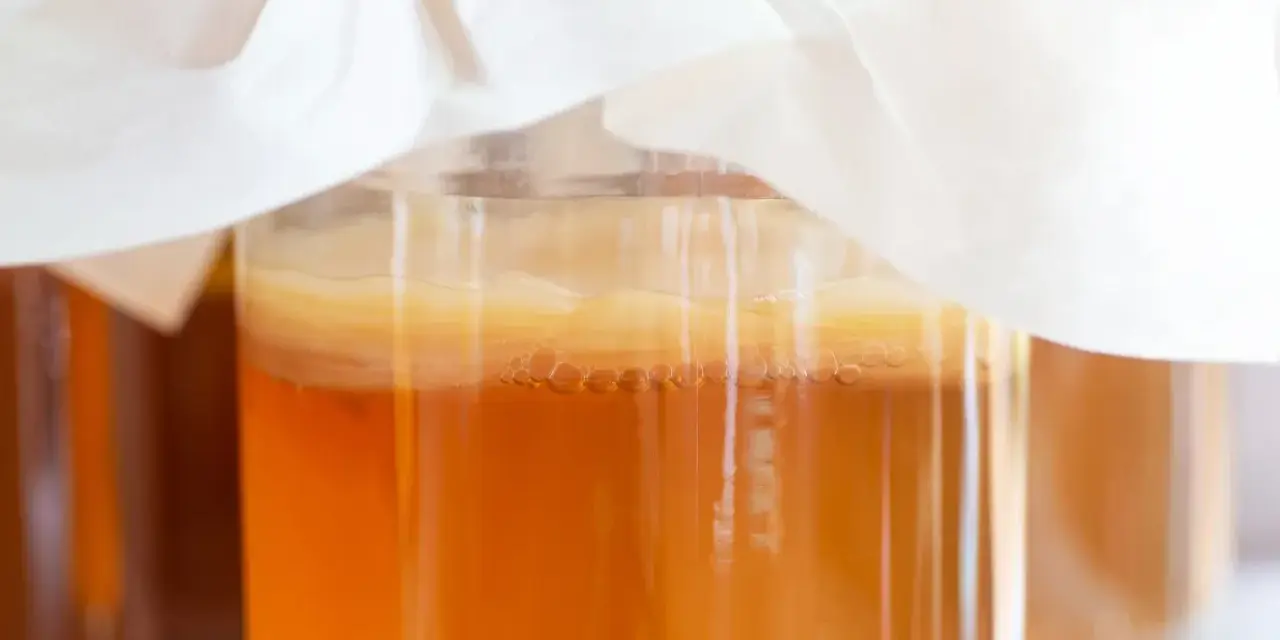 Słoiki z kombuchą, widoczna kultura SCOBY i bąbelki.