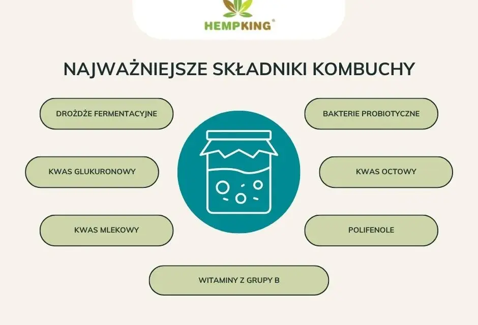 Kombucha: Ile może stać? Przechowywanie, trwałość i bezpieczeństwo