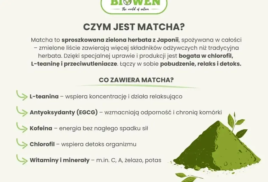 Matcha: energia, zdrowie i koncentracja bez kawy. Poznaj jej moc!
