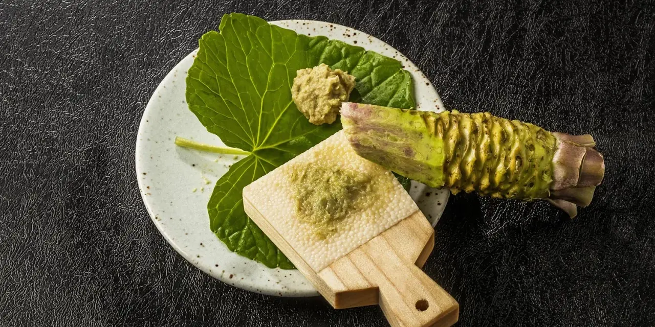 Świeży korzeń wasabi i starta pasta na deseczce. Czy wasabi jest ostre? Tak, jego ostrość jest intensywna i aromatyczna.