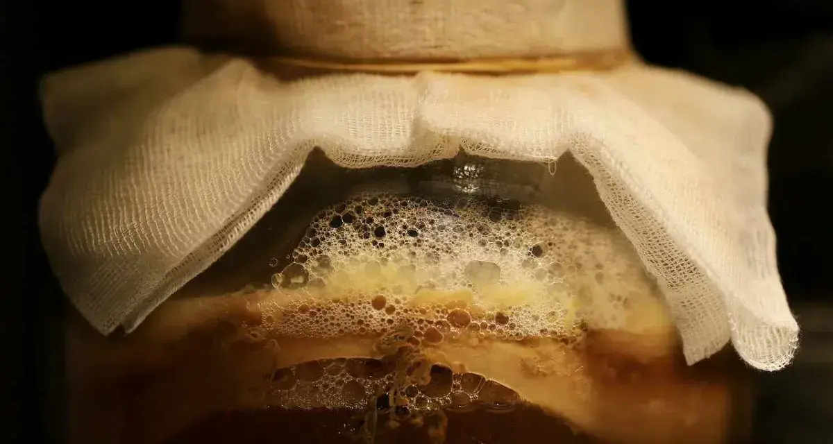 Kombucha: Czy ma alkohol? Ile? Kto powinien uważać?