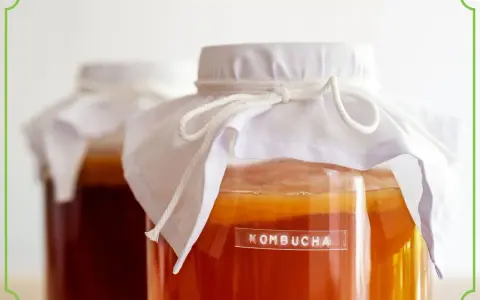 Dwa słoje z kombuchą, jedna z etykietą. Czy kombucha ma alkohol? To zależy od procesu fermentacji.