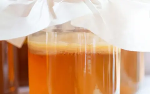 Słoiki z kombuchą, widoczna kultura SCOBY i bąbelki.