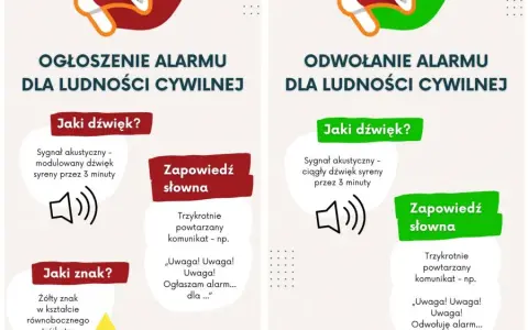 Jak rozpoznać zepsutą kombuchę? Kluczowe sygnały ostrzegawcze