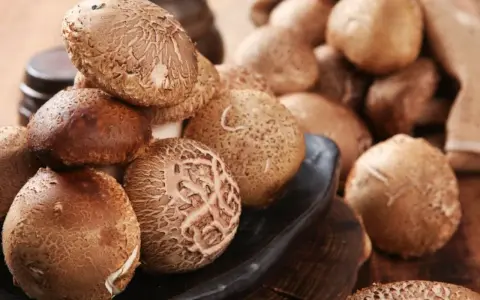 Kupa świeżych, brązowych chińskich grzybów shitake, gotowych do przygotowania pysznego dania.