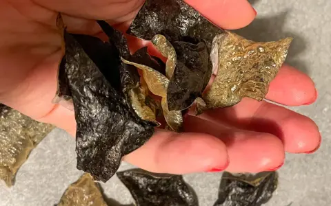 Chrupiące chipsy z nori, idealne do sushi lub jako zdrowa przekąska. Prosty przepis na chipsy z nori znajdziesz w sieci.