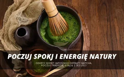 Matcha: Z czego powstaje? Poznaj sekret japońskiego proszku