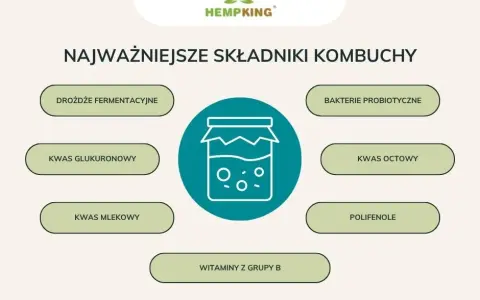 Kombucha: Ile może stać? Przechowywanie, trwałość i bezpieczeństwo