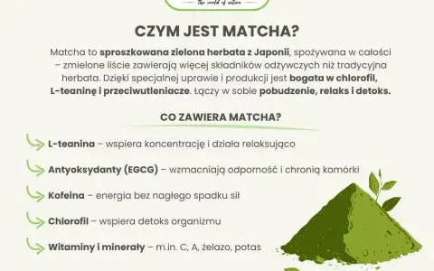 Matcha: energia, zdrowie i koncentracja bez kawy. Poznaj jej moc!