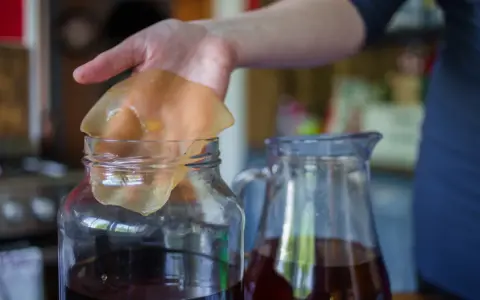 Kombucha: Na co pomaga? Właściwości, skutki uboczne i opinie