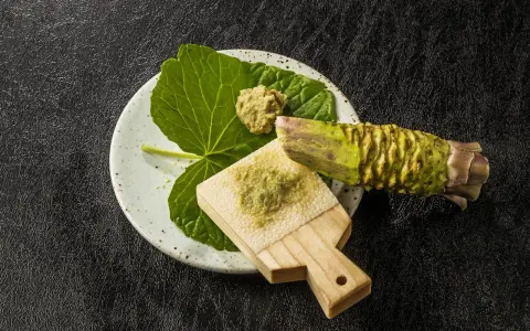 Świeży korzeń wasabi i starta pasta na deseczce. Czy wasabi jest ostre? Tak, jego ostrość jest intensywna i aromatyczna.