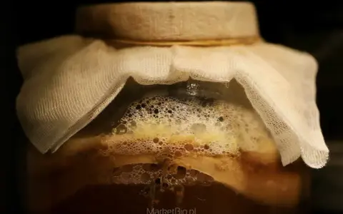 Kombucha: Czy ma alkohol? Ile? Kto powinien uważać?