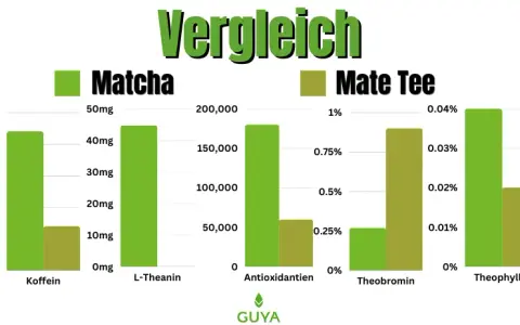 Matcha vs Yerba Mate: Kluczowe różnice i wybór idealnego napoju