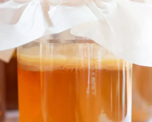 Słoiki z kombuchą, widoczna kultura SCOBY i bąbelki.