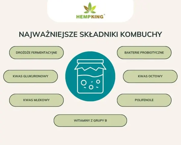 Kombucha: Ile może stać? Przechowywanie, trwałość i bezpieczeństwo