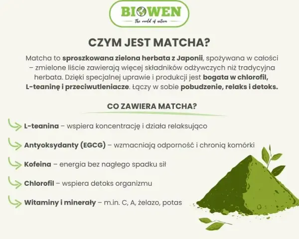 Matcha: energia, zdrowie i koncentracja bez kawy. Poznaj jej moc!