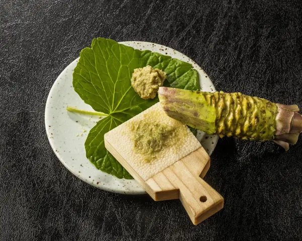 Świeży korzeń wasabi i starta pasta na deseczce. Czy wasabi jest ostre? Tak, jego ostrość jest intensywna i aromatyczna.