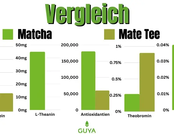 Matcha vs Yerba Mate: Kluczowe różnice i wybór idealnego napoju