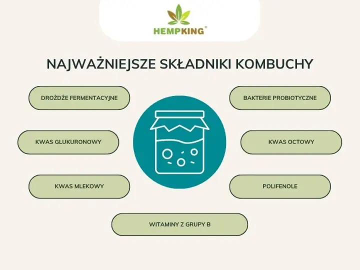 Kombucha: Ile może stać? Przechowywanie, trwałość i bezpieczeństwo
