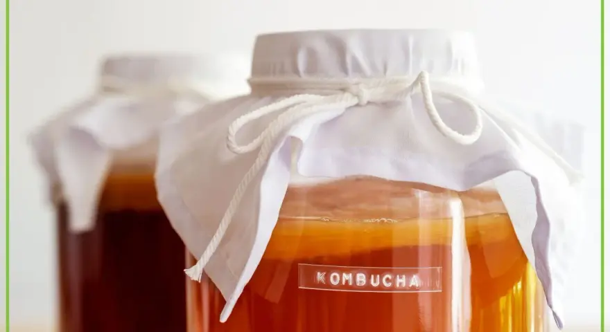 Dwa słoje z kombuchą, jedna z etykietą. Czy kombucha ma alkohol? To zależy od procesu fermentacji.