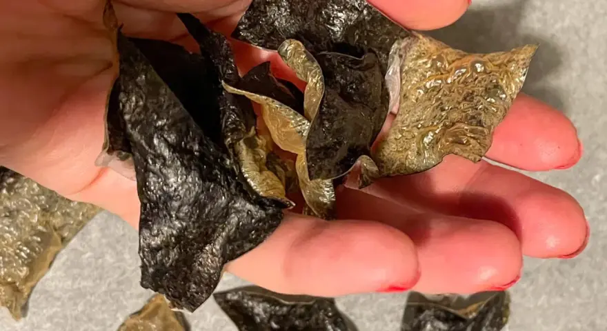 Chrupiące chipsy z nori, idealne do sushi lub jako zdrowa przekąska. Prosty przepis na chipsy z nori znajdziesz w sieci.