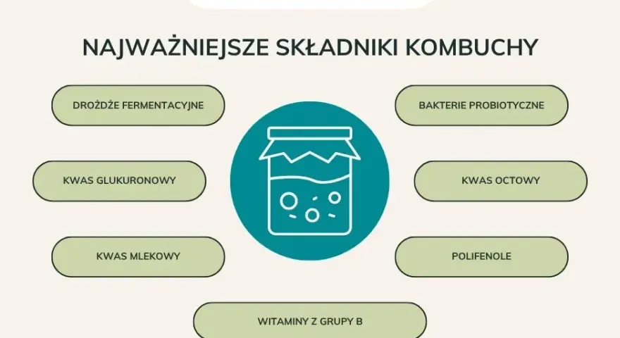 Kombucha: Ile może stać? Przechowywanie, trwałość i bezpieczeństwo