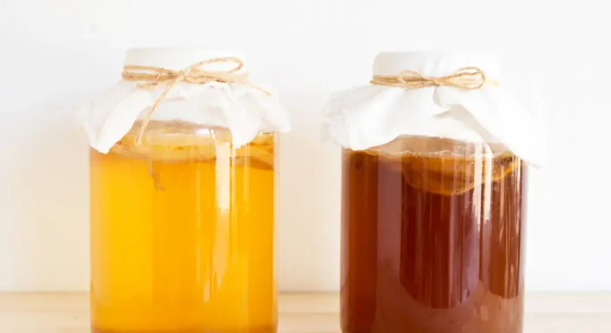 Dwa słoje z kombuchą, jeden jasnożółty, drugi ciemnobrązowy. Zastanawiasz się nad kombucha szkodliwość?