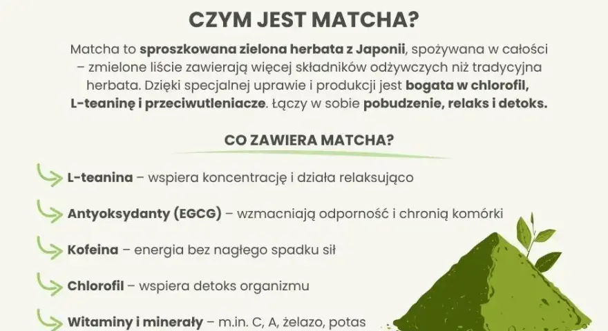Matcha: energia, zdrowie i koncentracja bez kawy. Poznaj jej moc!