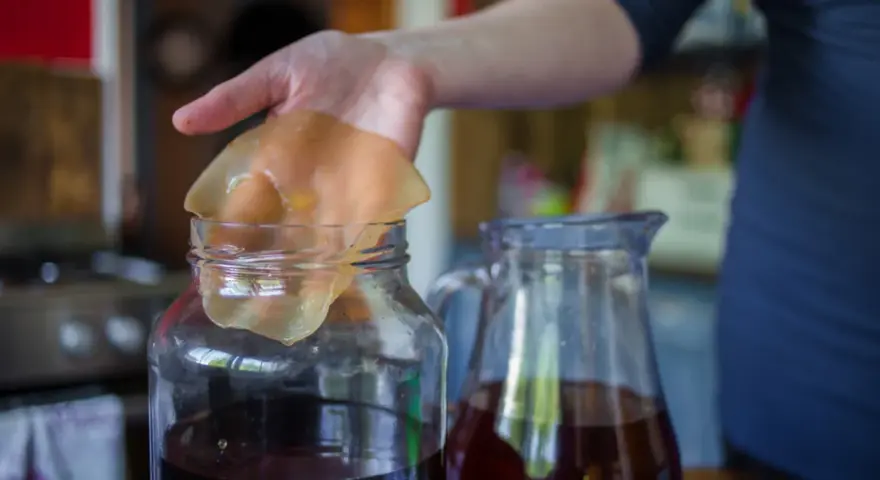 Kombucha: Na co pomaga? Właściwości, skutki uboczne i opinie