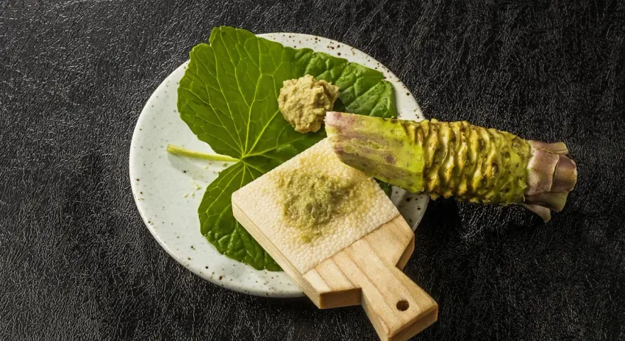 Świeży korzeń wasabi i starta pasta na deseczce. Czy wasabi jest ostre? Tak, jego ostrość jest intensywna i aromatyczna.