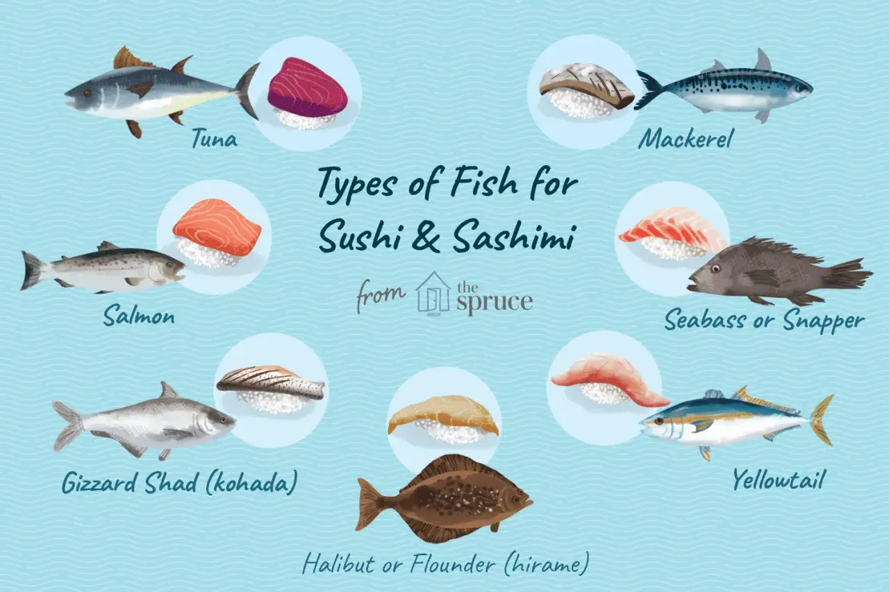 Ilustracja przedstawia różne rodzaje ryb do sushi: tuńczyka, łososia, makrelę, labraksa, ostropłetwca i inne.