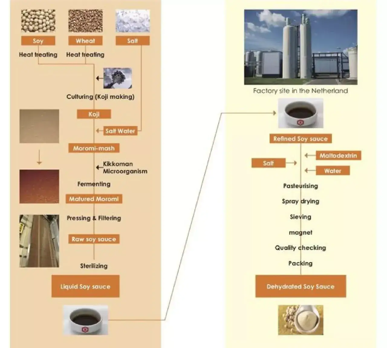proces produkcji sosu sojowego fermentacja hydroliza