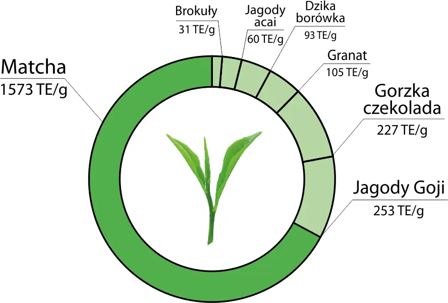 Matcha L-teanina działanie