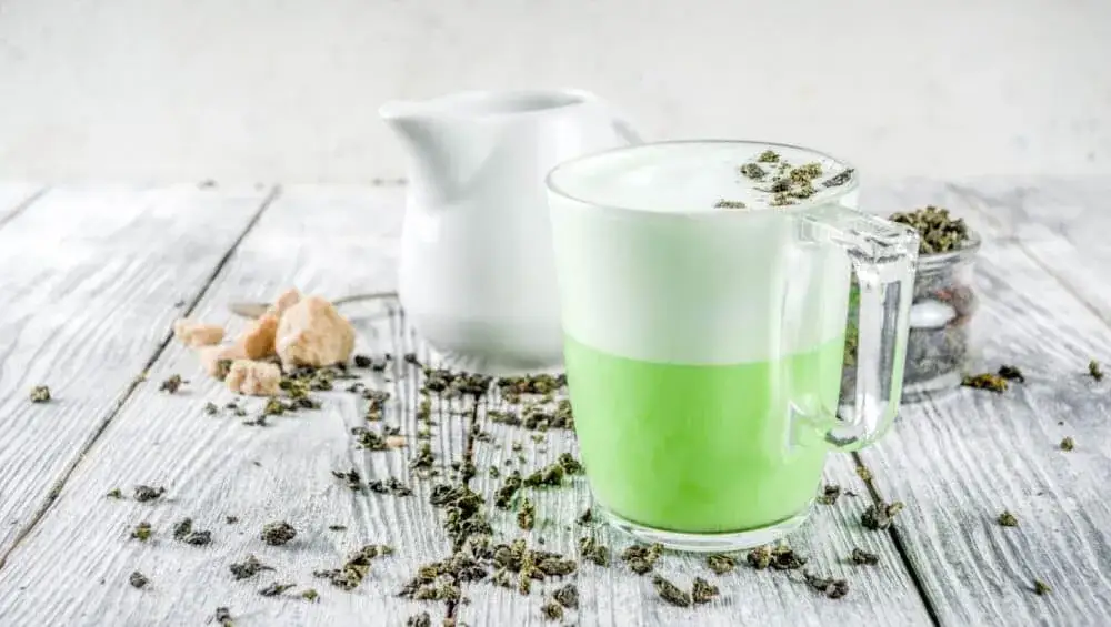 L-teanina i matcha